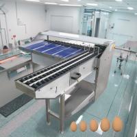 Lavadora de huevos y máquina de clasificación de huevos de acero inoxidable