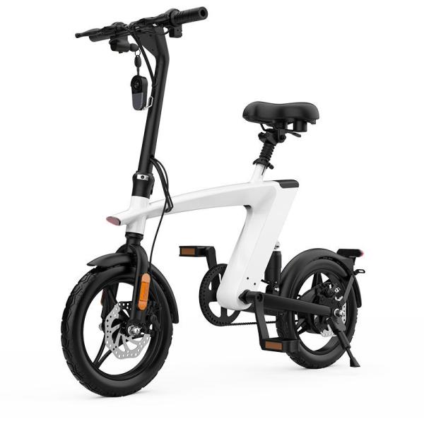 70-75km Range Lithium Ion Rechargeable Battery with 15° Climbing Angel