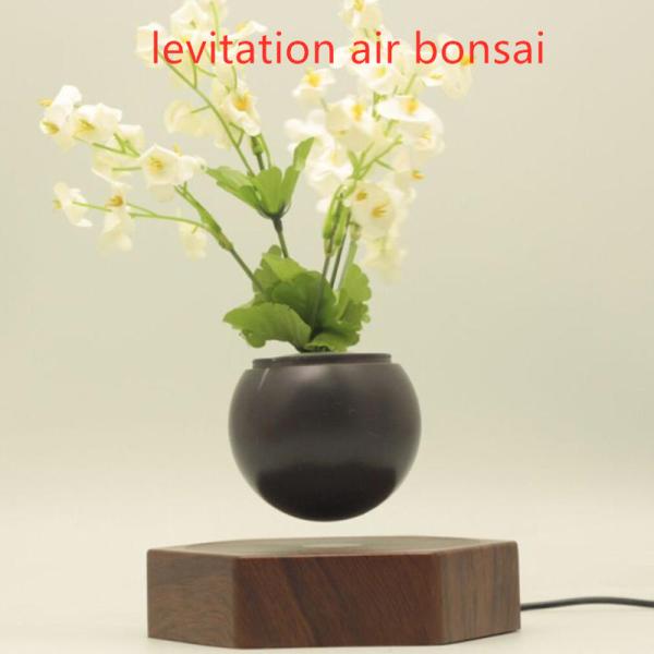 wooden base creative magnetic levitation floating air bonsai plant tree flowerpotted for gift