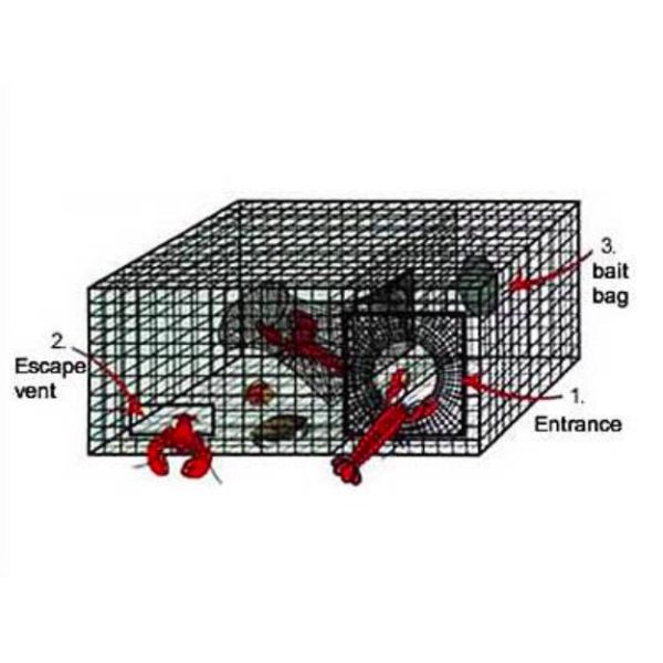 HDG 1x1 Inch Welded Metal Wire Mesh 12 Gauge 150 ft Length For Lobster Cage