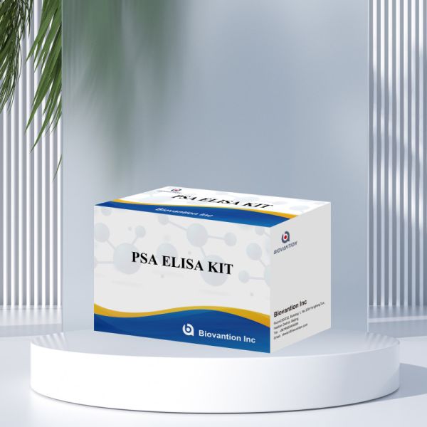 Biovantion Test PSA Prostate-specific Antigen Sensitive Elisa Test Kit