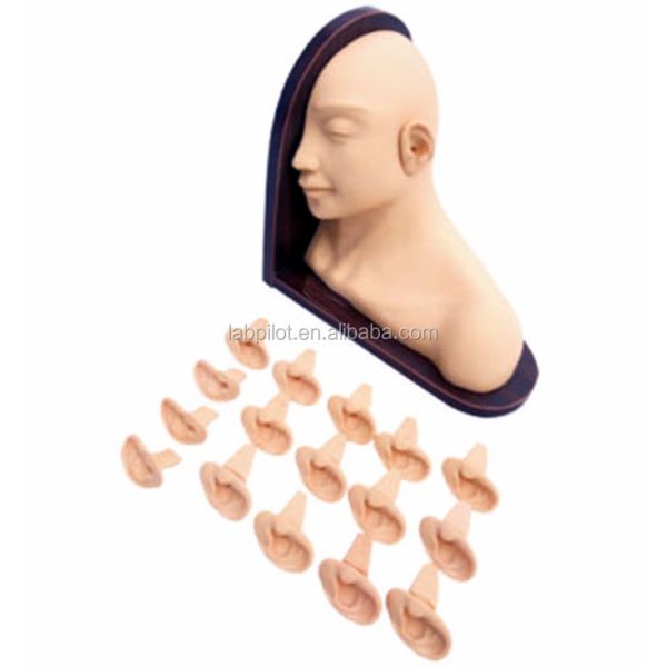 Medical Science Ear Diagnostic Training Model for Clinical Nursing Skills Education