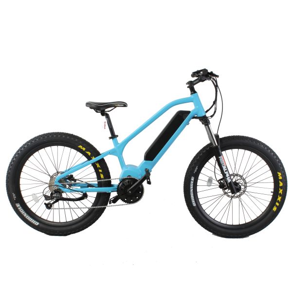 Coll Electric Mountain Bike 29 Inch Carbon Fiber Frame with 48V 15Ah Lithium Battery