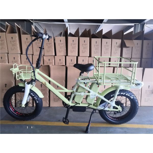 Shimano Gear Alloy Stem Dual Batteries Folding Step Through Ebike for Carrying Kids