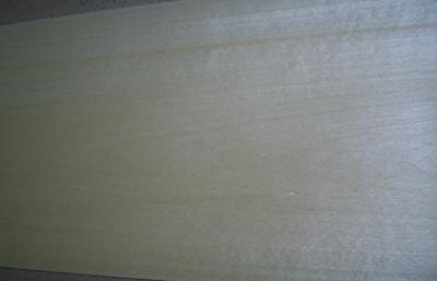 Folheado cortado da madeira de vidoeiro branco do corte Prefinished com espessura de 0.5mm