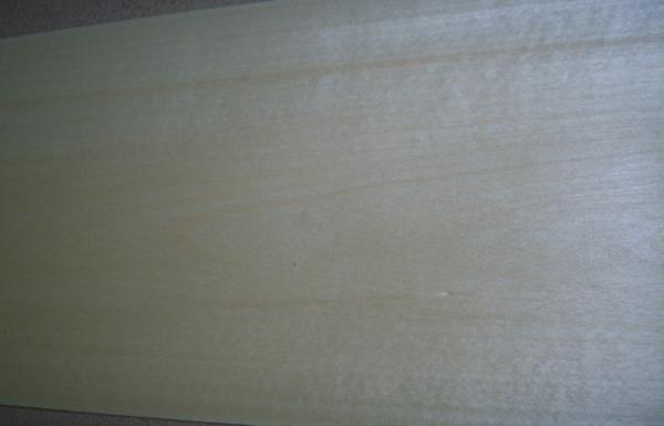 0.5 mm Crown Cut White Birch Veneer With Light Yellow Grain