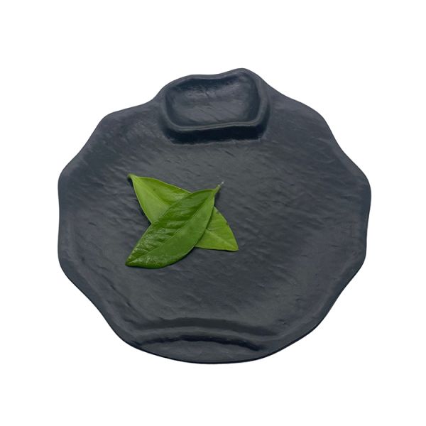 Restaurant 10 Inch Melamine Salad Plate Dinnerware Ramen Noodle Bowl