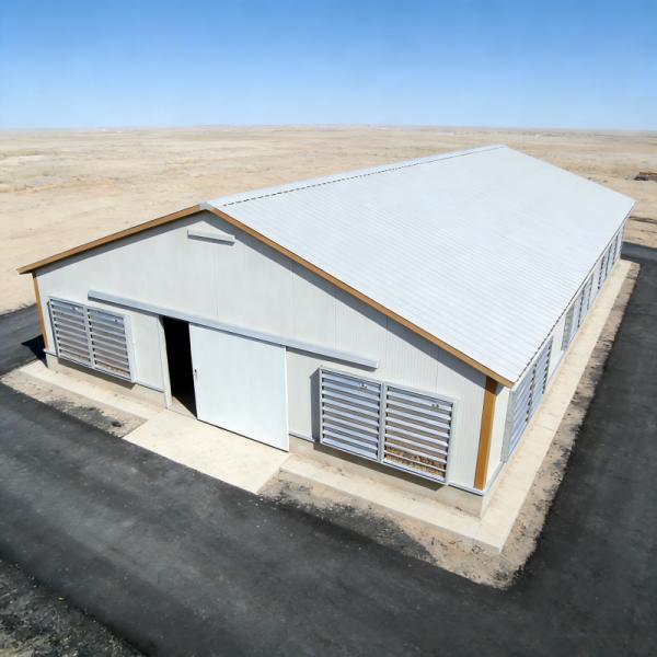 Install a durable steel-structured chicken house equipped with a ventilation and insulation system