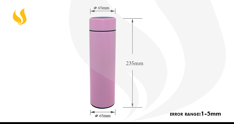 Stainless Steel Double Wall Vacuum Insulated Water Bottle with LED Temperature Display