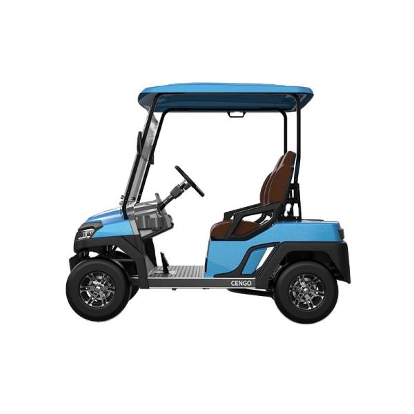 Affordable 2 Seat Electric Golf Buggy Perfect for Family and Hunting on the Beach