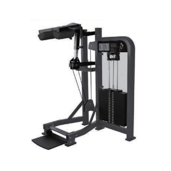 Poly Standing Calf Raise Machine U+H2017 Whisper Quiet Smooth Robust Aligning
