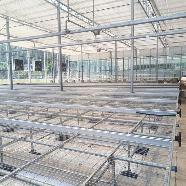 Tela de acero comercial de acero en invernadero con banco rodante de cultivo