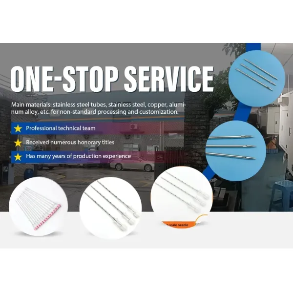 Aiguille de ponction capillaire en acier inoxydable