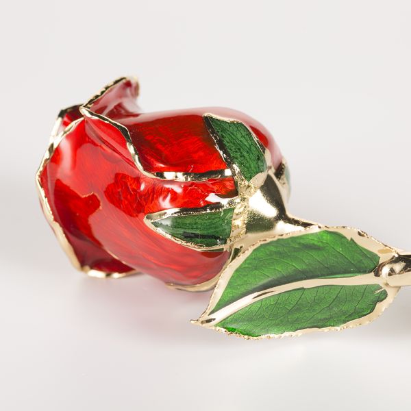 Gold Plated Rose Fresh Preserved Flower Gold Plated Natural Rose Everlasting Rose Flowers Wholesale Valentine Mother Day
