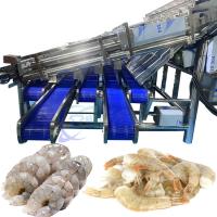 Équipement de tri des crevettes en acier inoxydable