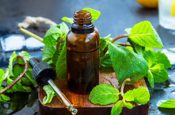 Free Sample Herbal Mint Flavoring Scent Fragrance Oil For Shower gel &Shampoo &Scented Soap Making /Productions with High-Surfactant Stability