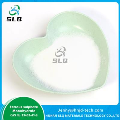 CAS NO 13463-43-9 Ferrous Sulphate Monohydrate For Food Additives