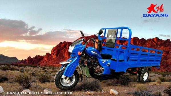 10-20L Fuel Tank Capacity Cargo Motorcycle for Three Wheeler Cargo Tricycle