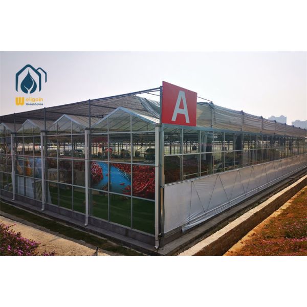 Smart Environmental Control Multi Span Greenhouse with Fogging and Circulation Fan System...