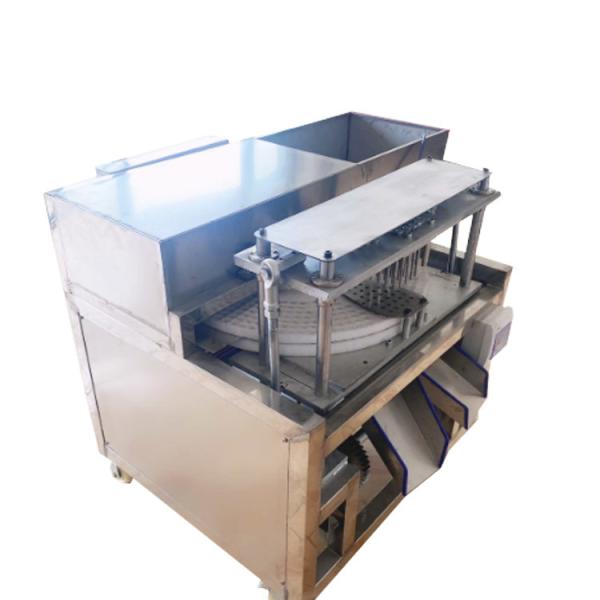 Electric cherry pitting machine pitter cherry pit remove machine