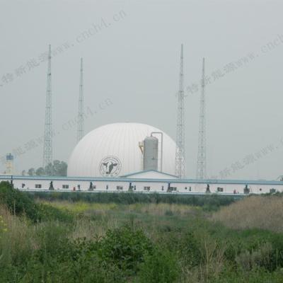 Dual Layer Membrane Structure Gas Balloon Freestanding For Biogas Plant