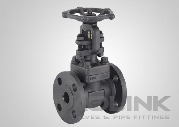 Valva de porta de aço forjada com extremidade de flange A105 F304 F316 Classe 150-2500