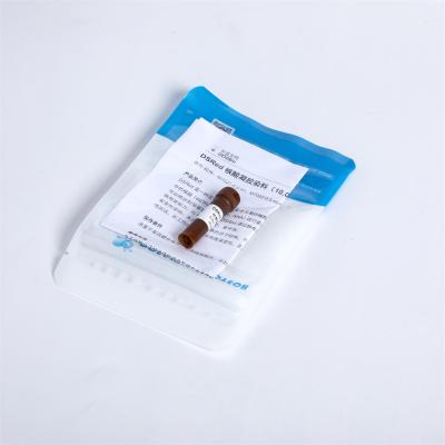 DSRed Non Toxic Nucleic Acid Gel Stain 10000× M7021 0.5 Ml