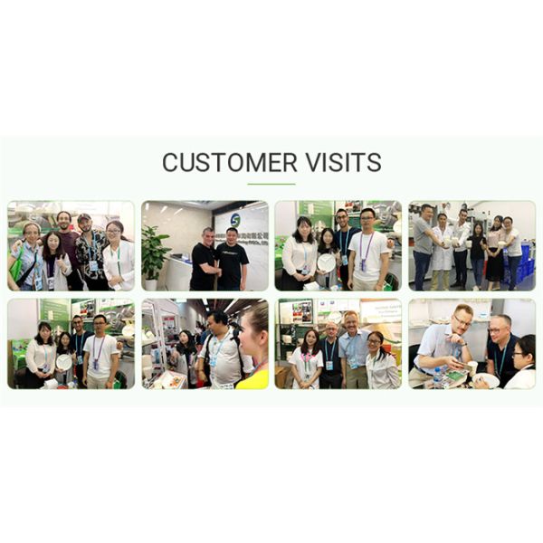 9 Inch 3 Compartment Biodegradable Takeout Food Containers