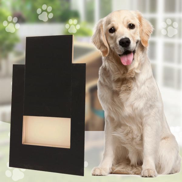 Pet Treat Trimmer Wooden Dog Nail Scratch Board for Indoor and Outdoor Space