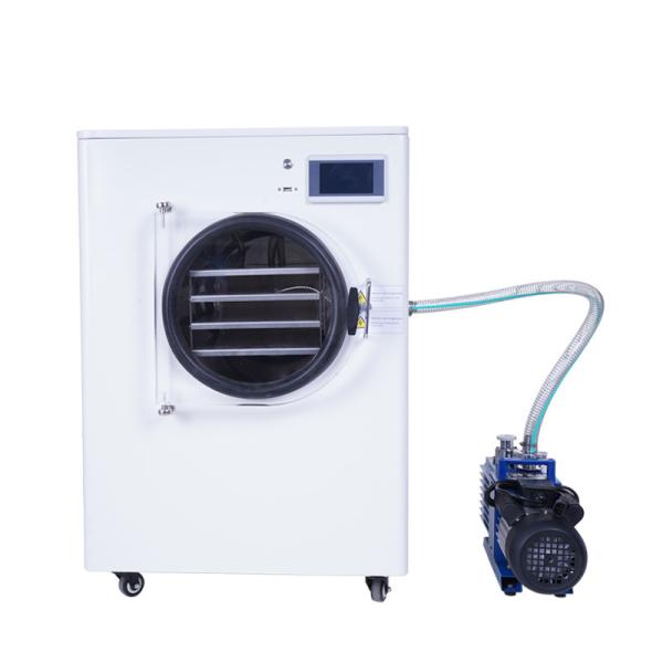 Industrial Herbal Medicine Lyophilization Vacuum Freeze Dryer Machine Pilot Scale