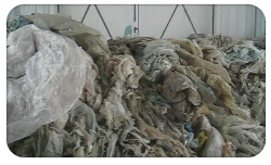 JWELL CE 2000kg/H PET Bottles Crushing Washing Machine with Blowing Collection