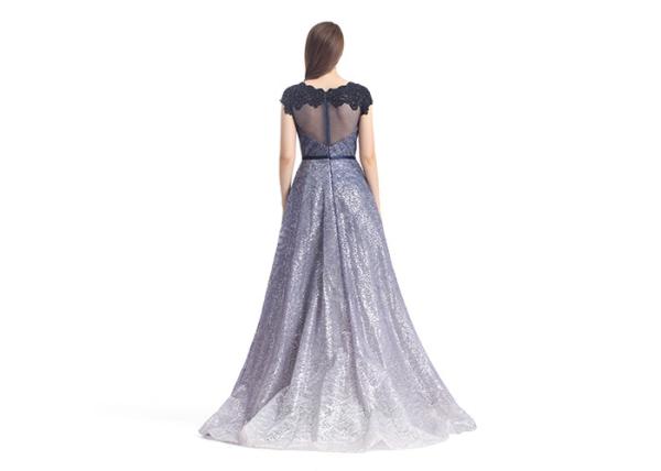 Sweep Train Formal Ladies Evening Dresses Short Sleeve U - Neck Style