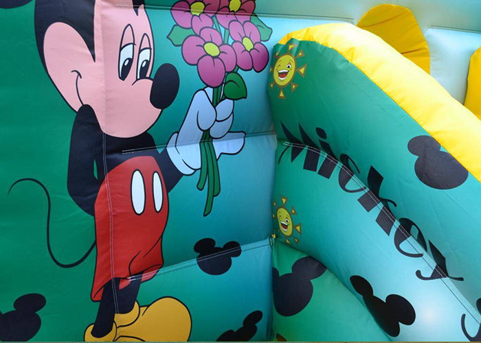 дом и скольжение прыжока вечеринки по случаю дня рождения мыши 12ft x 18ft Mickey раздувные комбинированные