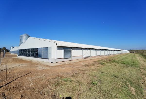 Hot Dip Galvanized Metal Steel Broiler Layer Poultry House With Automatic Brooding Equipment