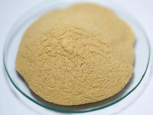 Alimento para animais inativo Levedura Levedura em pó de cerveja Promover a nutrição