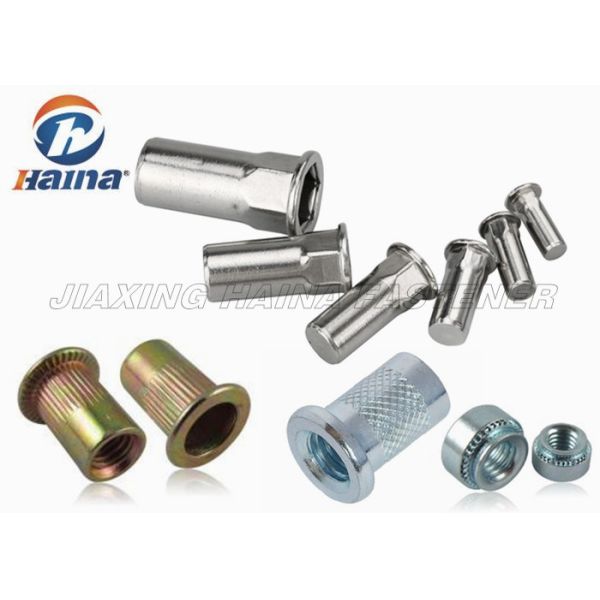 Zinc Plated Carbon Steel M5-M20 Flat Head Half or Full Hex Body Rivet Nut​