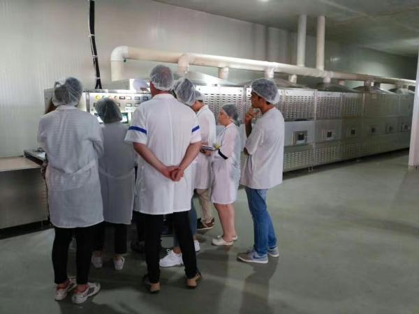 Seafood Microwave Drying Machine High Efficiency  , Industrial Microwave Drying Equipment