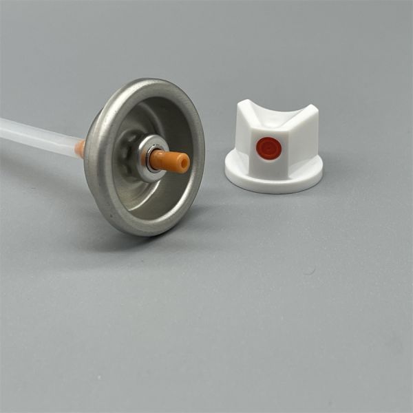 Valve de peinture aérosol mâle 1 pouce pour revêtement industriel