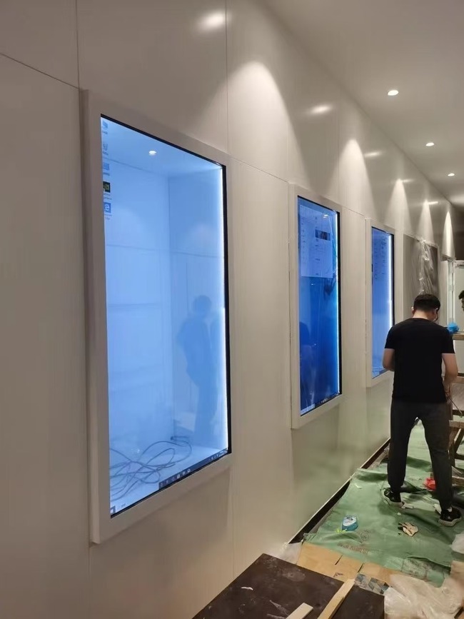 65 Inch Transparent Exhibition Display Cabinet for Immersive Exhibit Presentation and Viewing