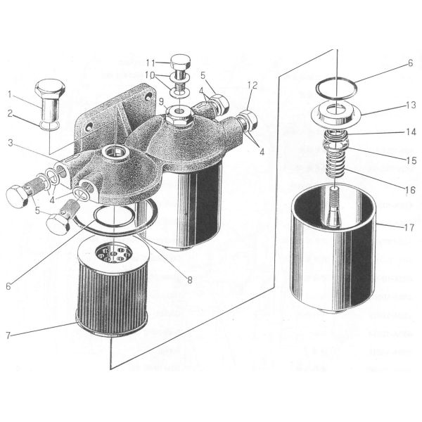 495AG Diesel Engine Spare Part - Fuel Filter Assembly - 495A-10000