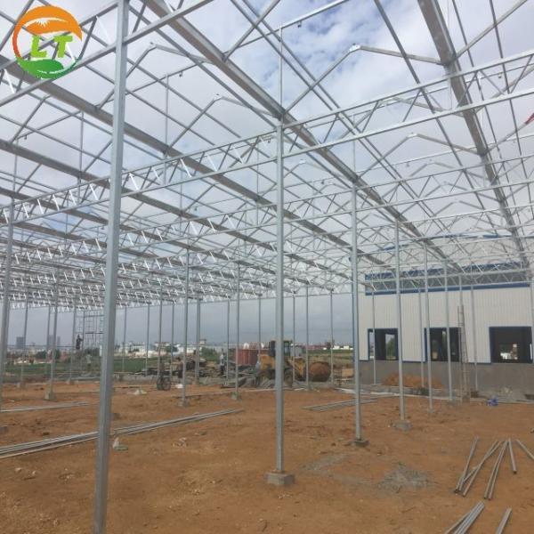 PC Greenhouse for Multi-Span Agricultural Greenhouses Section 8.0m Strong Structure