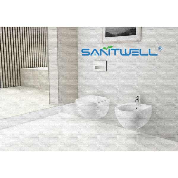 Пол размера биде 490*370*300 mm лотка WC Bathroom поставщиков Китая белой повешенный стеной - установленное биде