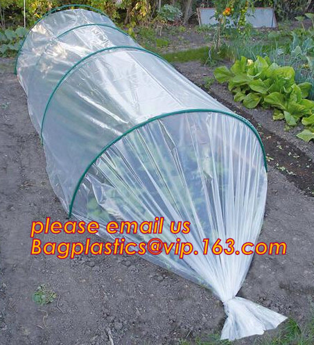 Greenhouse, Agricultural Polyethylene Film, Mulch Films, Horticultural Products, Perforated Wrap, Tomato, Flowers