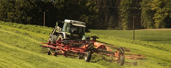 Le type fendu incidence bimétallique du bimétal 800 bague la bague solide de douille soutenue par acier de boucle