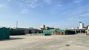 Guangdong Asher Sports Industry Co., Ltd.