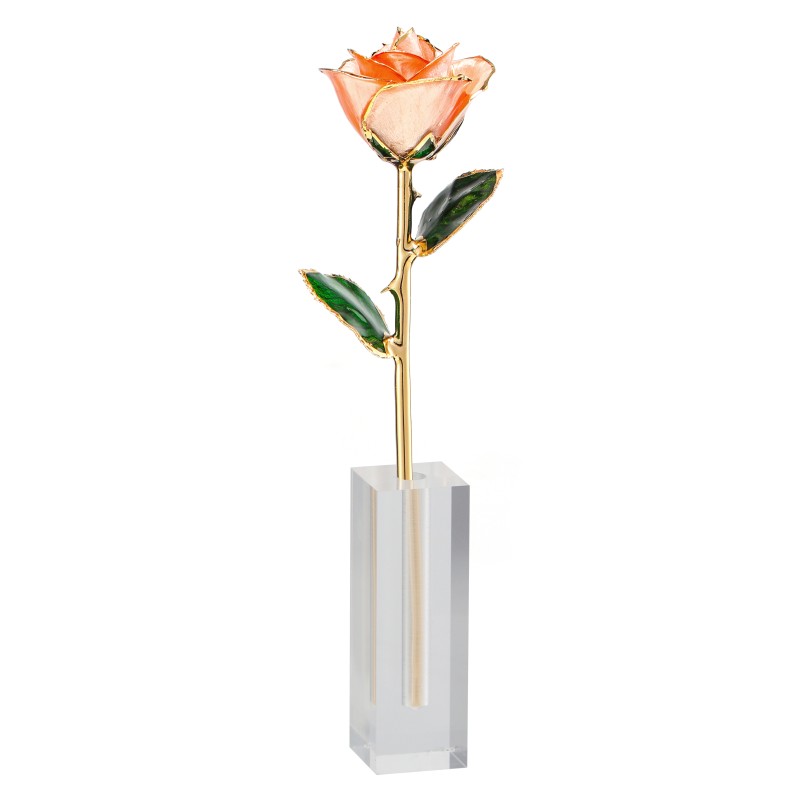 24k Gold Plated  Rose  Preserved Fresh Flower  Wholesale Preserved Rose Manufacture Directly Supply