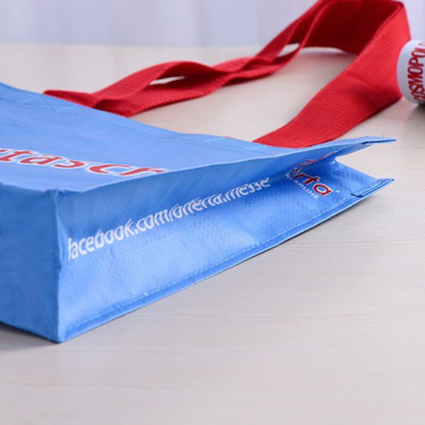 Waterproof Custom Printed Grocery Bags , 80 - 160gsm Pp Woven Shopping Bag