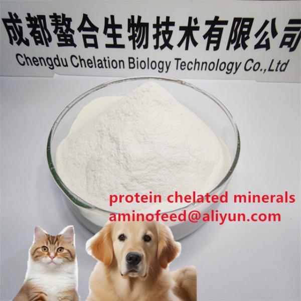 Zinc Amino Acid Chelate 20% Feed Additive for Pet Food