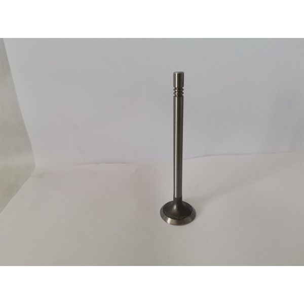 VOLKSWAGEN AMAROK Diesel Engine Spare Parts Exhaust Valves V74105