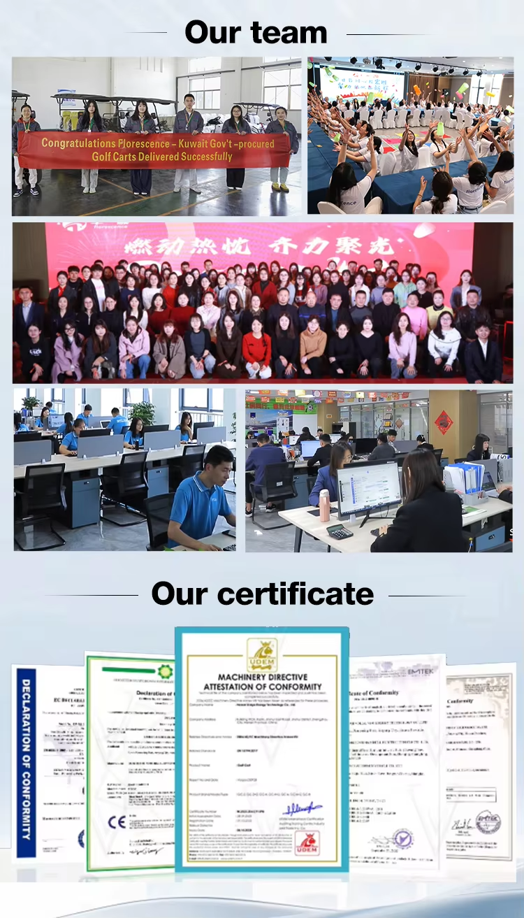 Customizable 4-Seater Electric Utility Golf Cart Lithium Battery Golf Buggy for Sale